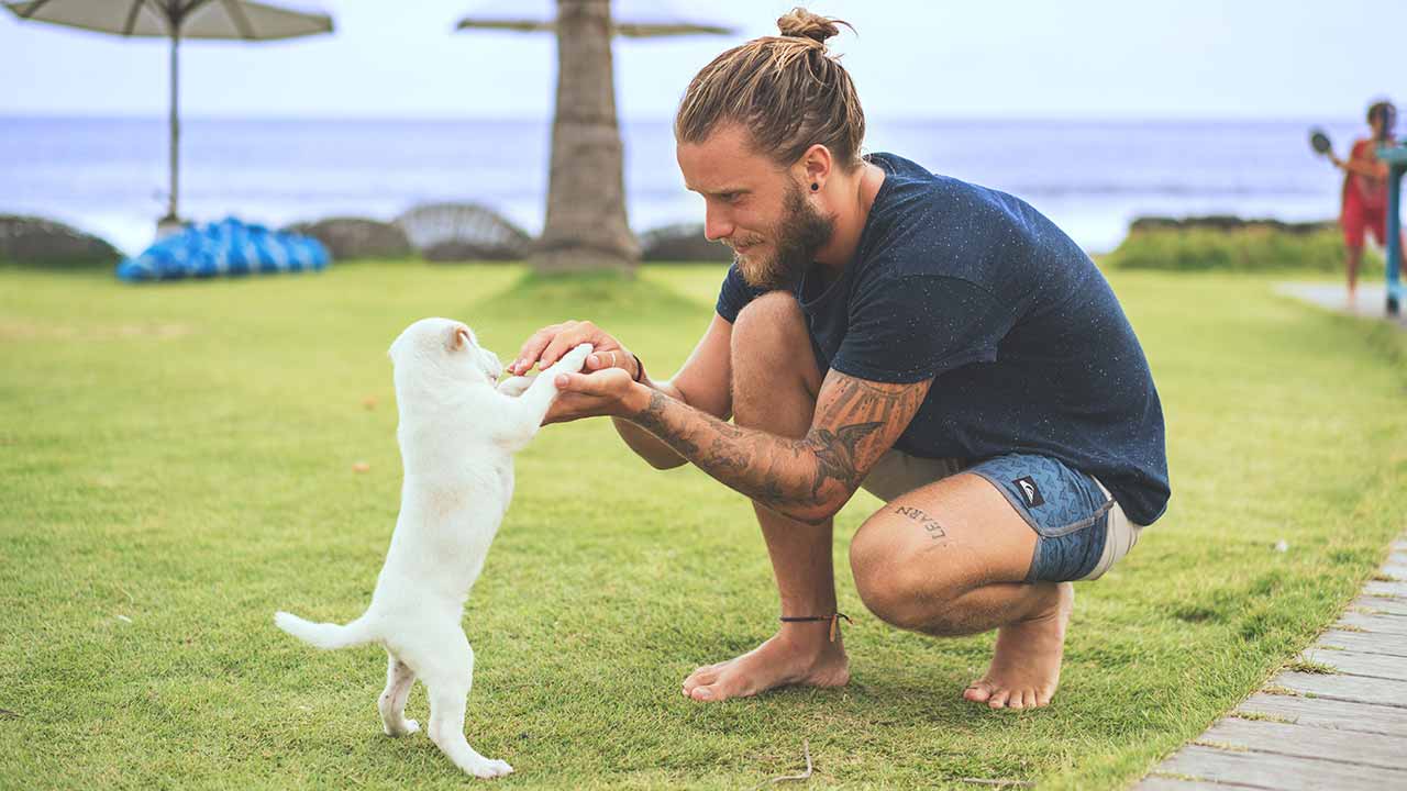 viajar con perro a australia