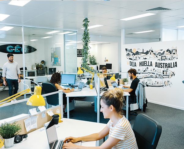 Oficina Dingoos Gold Coast