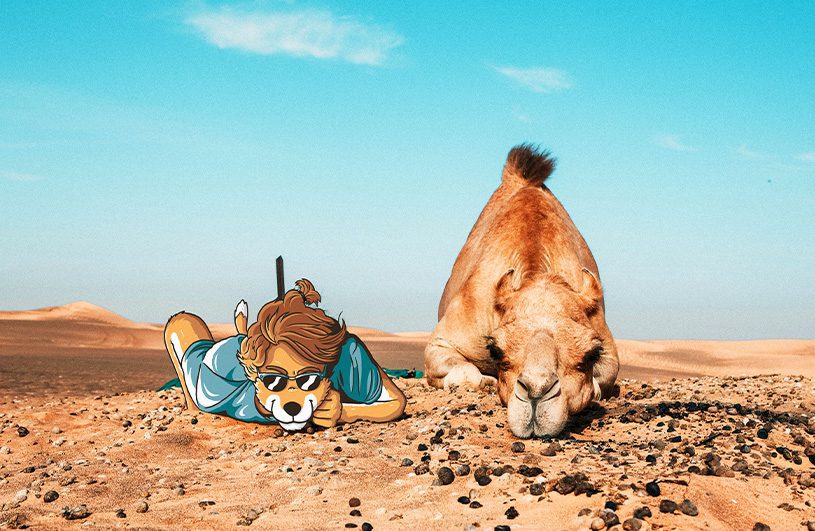 estudiar en dubai inerior