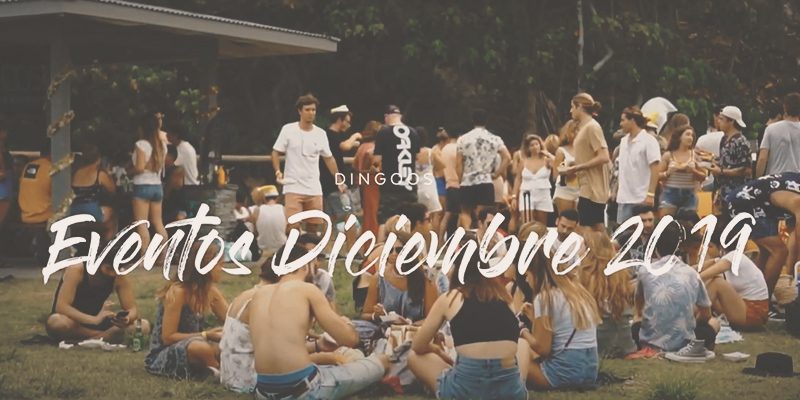 Eventos Dingoos Diciembre 2019