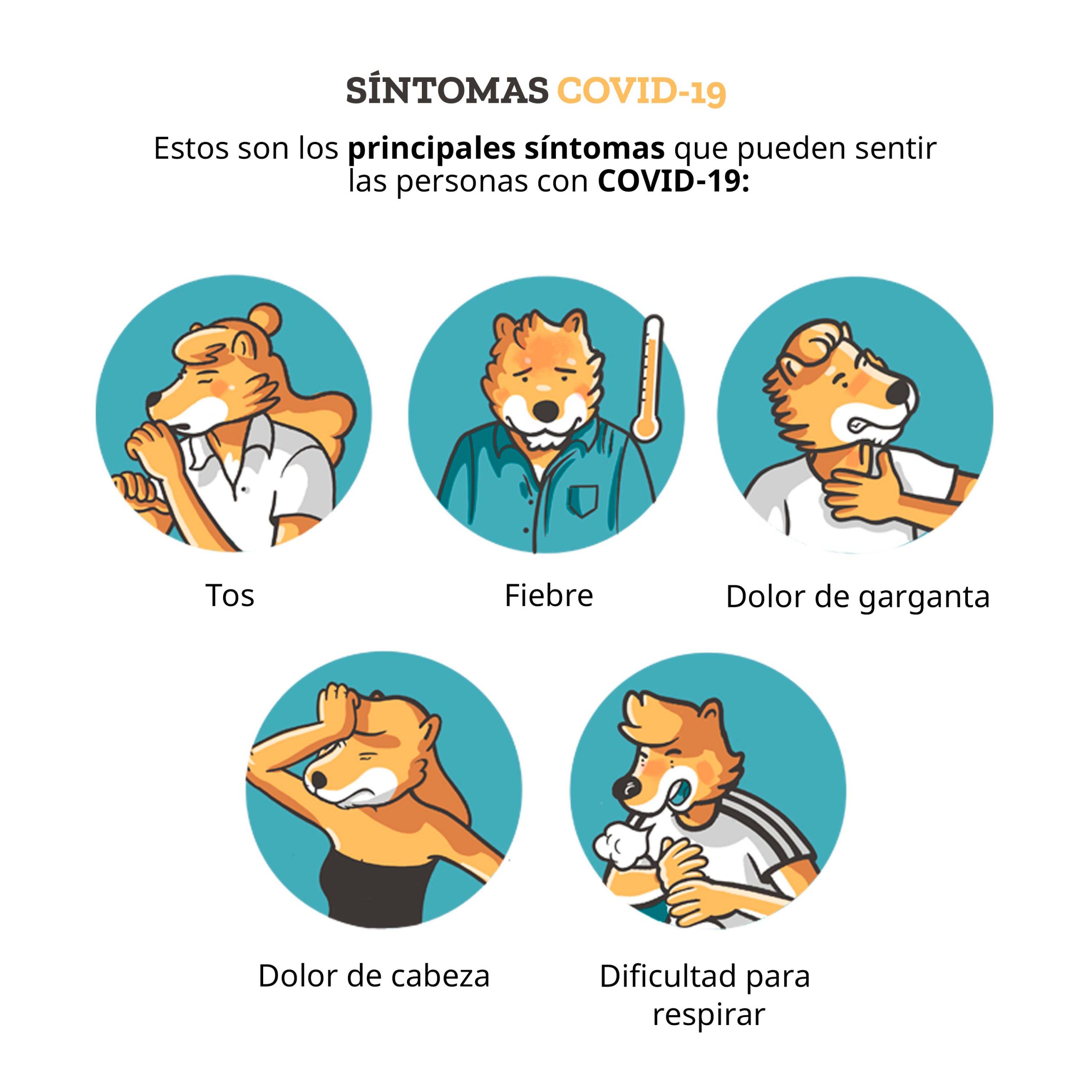 infografia sintomas coronavirus