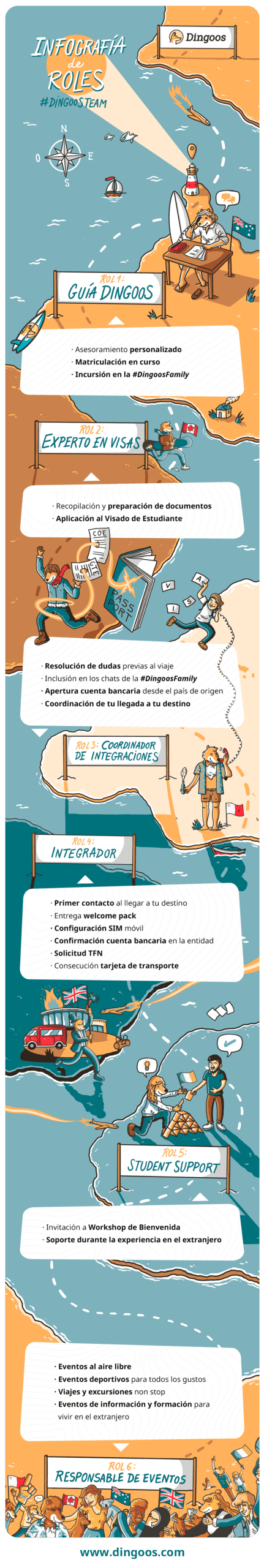 infografia equipo dingoos
