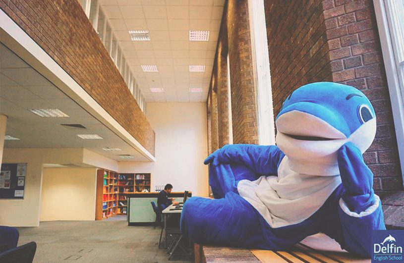 delfin english school