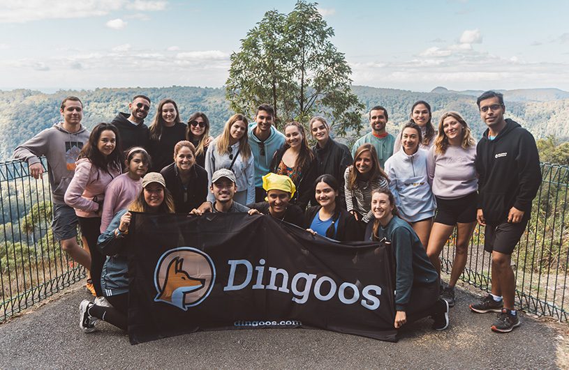 eventos dingoos australia