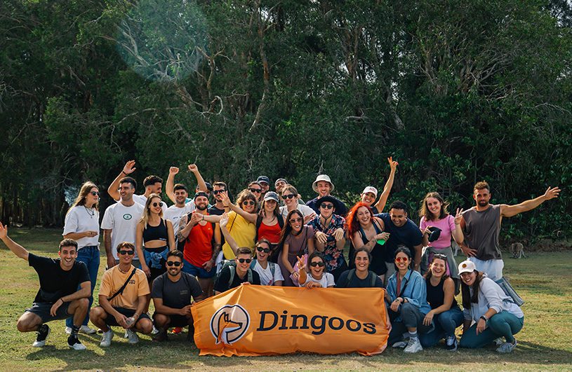 eventos dingoos