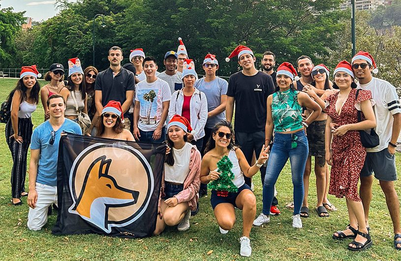 eventos dingoos navidad