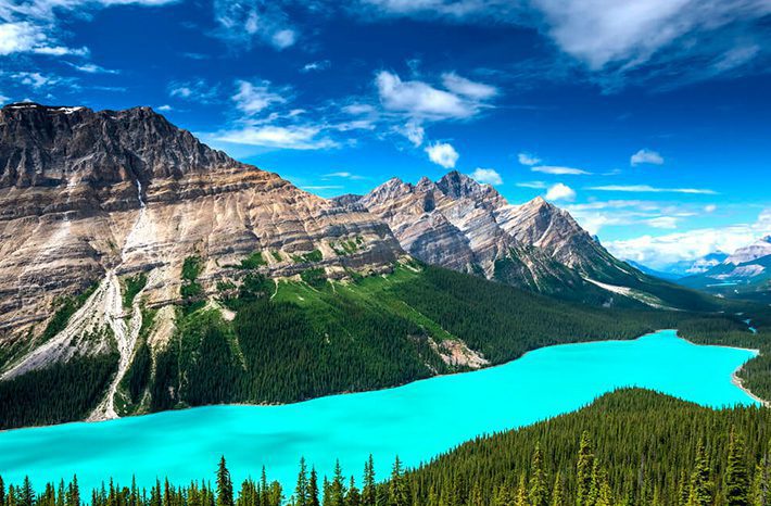 Lago Peyto