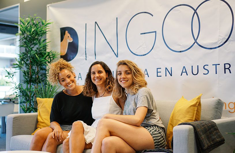 Dingoos Team Oficina 6