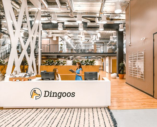 oficina dingoos vancouver