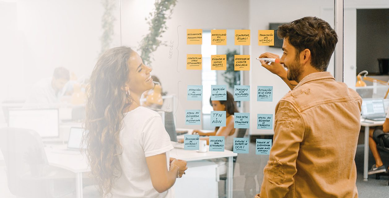 servicios dingoos para estudiar en australia