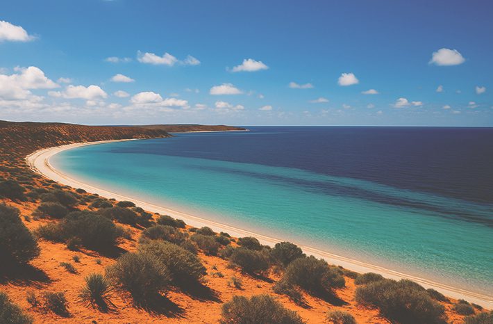shark bay interior blog