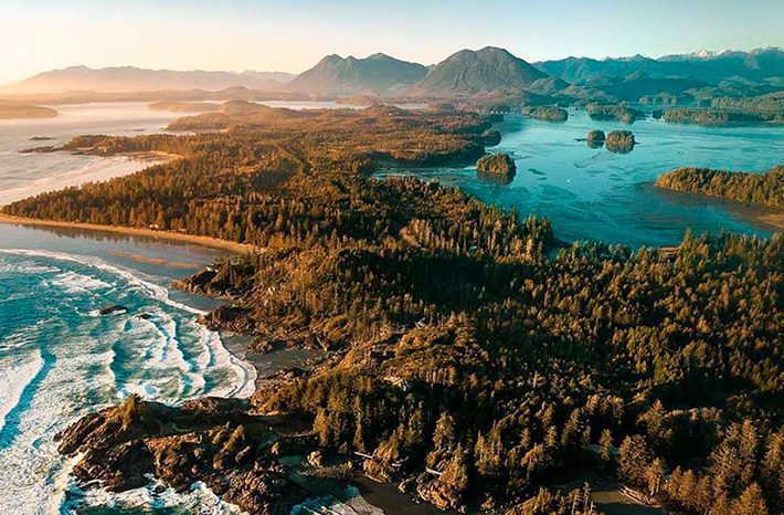 Tofino
